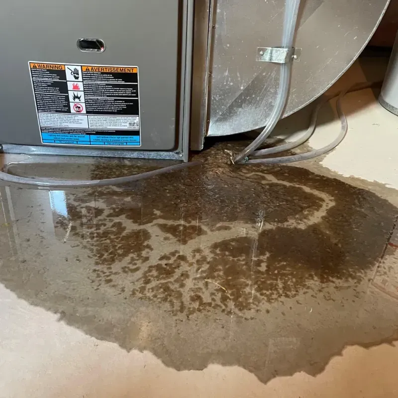 Appliance Leak Cleanup in Wasilla, AK